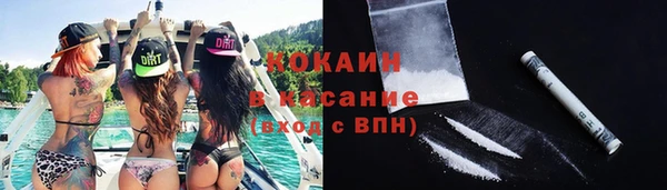 крисы Покачи