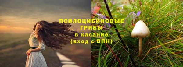 меф Арсеньев