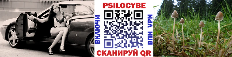 Псилоцибиновые грибы мухоморы Фокино