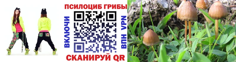 Псилоцибиновые грибы мицелий Фокино